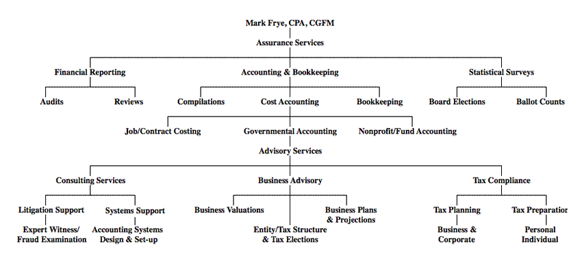 Small Accounting Firm Organizational Chart